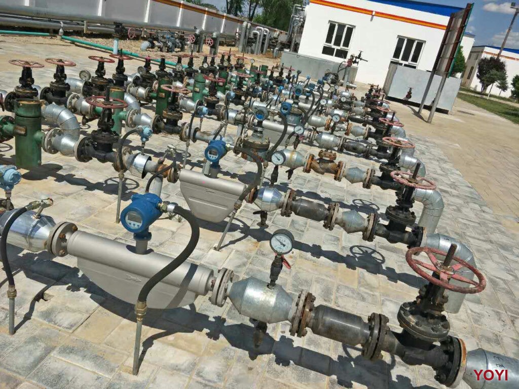 YOYI Coriolis Flow Meter